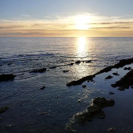 L'anfora Alghero